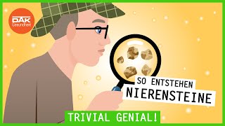 So entstehen Nierensteine | #trivialgenial | DAK-Gesundheit