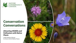 Conservation Conversations: Attracting Wildlife and Pollinators with Native Plants