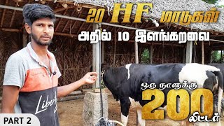 20 HF மாடு வைத்து ஒரு நாளுக்கு 200 லிட்டர் பால் எடுக்க முடியுமா?|Hf cow farm Tamil |Young Vivasayi|