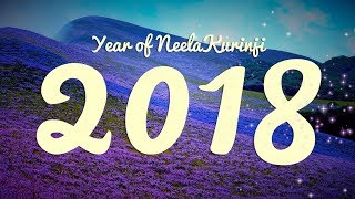 Welcome to the Year of Neelakurinji | Happy New Year