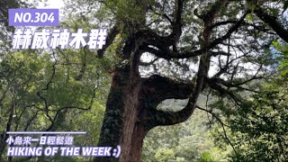 桃園復興｜小烏來風景區｜插天山系｜赫威神木群步道-山屋遺址-水源地-赫威山