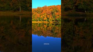 Autumn at Gosh Lake / Աշունը Գոշի լճում