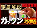 【検証】ジャグの勝率100%!?知らないとヤバい、ガックンチェック。