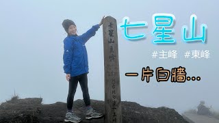 【爬山】七星山 | 冷水坑登山口，還巧遇松鼠！即使天氣不好也可拿下主東峰！