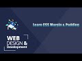 VII - CSS Margin & Padding