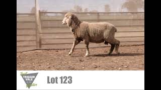 TV Poll Merino Lot 123 2021