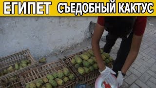 НЕОБЫЧНЫЙ ЕГИПЕТСКИЙ ФРУКТ/ ВЕЧЕРНЯЯ АЛЕКСАНДРИЯ/ ДОНАТ