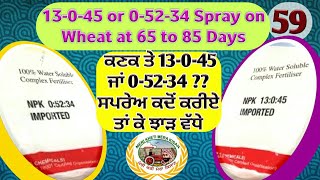 Use of NPK Foliar spray on Wheat Crop (ਕਿਹੜਾ NPK ਸਪਰੇਅ ਕਰੀਏ) Shergill Markhai