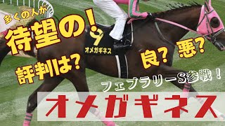 【オメガギネス】フェブラリーS参戦の評判はいかに！？