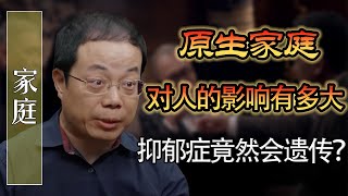 原生家庭對人的影響有多大？憂鬱症竟然會遺傳？#马家辉 #梁文道 #锵锵行天下 #马未都 #窦文涛 #圆桌派