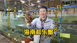 海南港北渔村和乐蟹158一斤，他们还点了哪些海鲜？