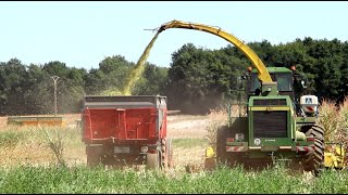 Ensilage de maïs début août 2020 à la Cuma de Blanzay