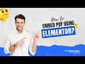 How to Embed PDF Files Easily with Elementor Page Builder? |