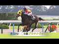 【競馬ブック】 きさらぎ賞　2017 予想 【tmトーク】