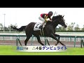 【競馬ブック】 きさらぎ賞　2017 予想 【tmトーク】