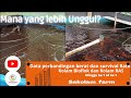 Data-Perbandingan berat dan Survival Rate Kolam Bioflok dan Kolam RAS