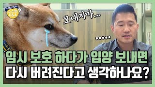 임시 보호 하다가 입양 보내면 다시 버려진다고 생각하나요?｜강형욱의 소소한 Q\u0026A