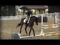 Exercises to Enhance the Rider’s Balance