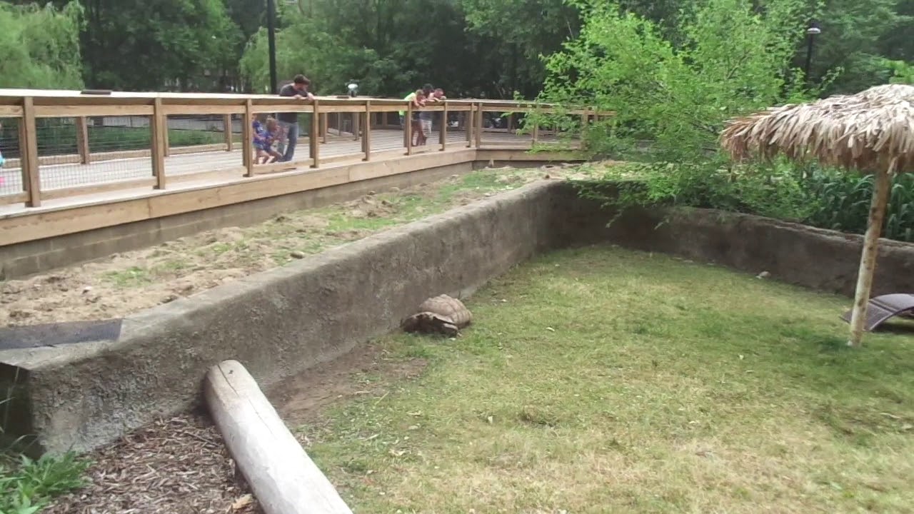 TRIP TO POTAWATOMI ZOO 2020 FINAL PART - YouTube