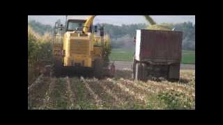 2012 silage