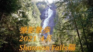 【カナダ】撮影 散歩  2021  4月  Shannon Falls編  BC  Canada　バンク－バ－から車で約４５分。