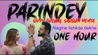 Parindey | ONE HOUR | Nagine lishkde dekhe | New Punjabi Song 2024 | Parak Jani | TikTok Viral
