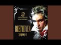 Symphony No. 1 in C Major, Op. 21: III. Menuetto: Allegro molto e vivace