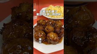 芸能人も通う 東京1うまい肉団子