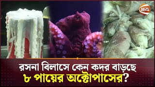 রসনা বিলাসে কেন কদর বাড়ছে ৮ পায়ের অক্টোপাসের? | Octopus Recipe | Channel 24