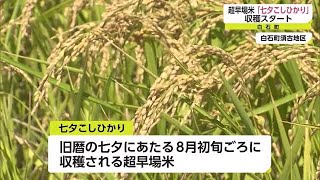 白石町の超早場米「七夕こしひかり」収穫始まる 関東や関西を中心に出荷予定【佐賀県】 (22/07/29 17:15)