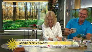 När Steffo blir fågelviskare... - Nyhetsmorgon (TV4)