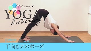 【YOGA Dictionary】No.12 下向き犬のポーズ(アド・ムカ・シュワナ・アーサナ)