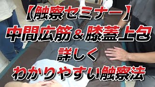 【触察セミナー】中間広筋と膝蓋上包の詳しくわかりやすい触察法（小川隆之）／オープンパス・メソッド®／ボディワーク