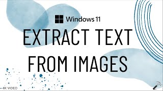 Extract text from images on Windows 11