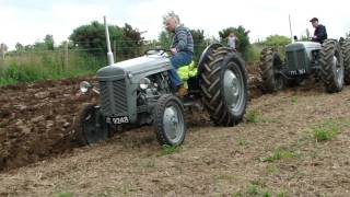 Ferguson Tractor  Working Day