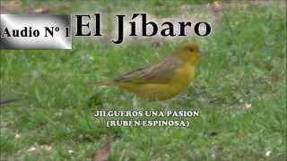 Jilgueros una pasion   CD del Jibaro