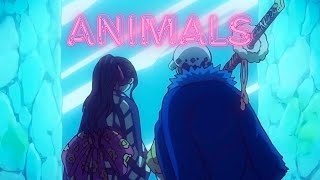 One Piece AMV | Robin & Law | Animals