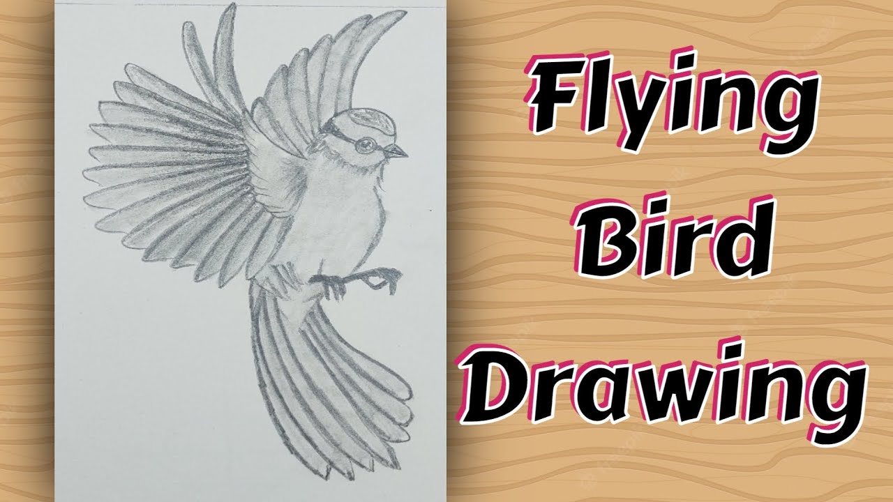 How To Draw A Realistic Bird Flying Step By Step Infoupdate Org