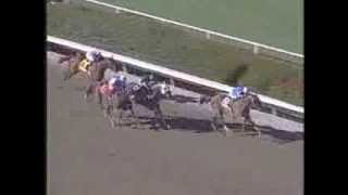 TOTAL IMPACT - 2004 Hollywood Gold Cup (G1, 2000m)