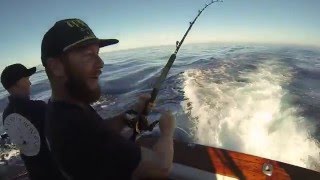 Offshore Fishing 2015 - Yellowfin Tuna, Skipjack, Dorado and Yellowtail