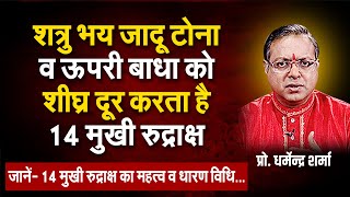 शत्रु भय, जादू टोना व ऊपरी बाधा को शीघ्र दूर करता है 14 मुखी रुद्राक्ष | Prof. Dharmendra Sharma