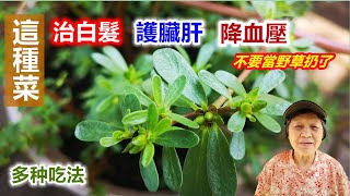 馬齒莧 | 瓜子菜可以治白髮，護臟肝，降血壓，降血糖，不要當野草扔了，多種吃法，簡單又鮮美