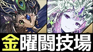 【11/11まで確泥】簡単シヴァドラループ！金曜の闘技場でシェヘラザードドラゴンを乱獲しよう【パズドラ】