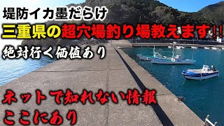 【三重県の釣りポイント】釣り好き必見‼︎隠れた穴場釣場教えます