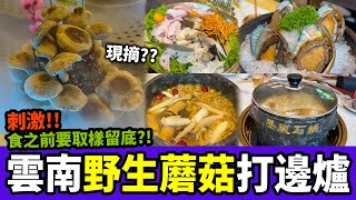 【深圳探店】超刺激！食飯前要留檢測樣本😱？野生菌墨脫石鍋土雞🍄丨深圳好去處丨深圳灣口岸丨海月站丨寶能allcity丨