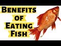 11 Evidence Based Health Benefits of Eating Fish