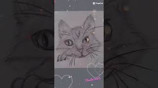 My cat drawing❤️😻 #drawing #cat #wow #drawing #catlover