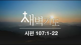 [포항큰숲교회] 24.10.29 새벽기도회