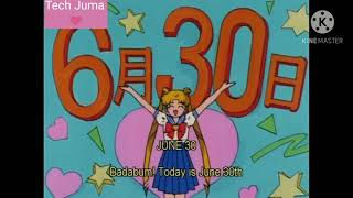 Sailormoon : usagi's birthday /Tech Juma