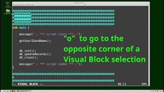 Vim (17) Visual Block Mode